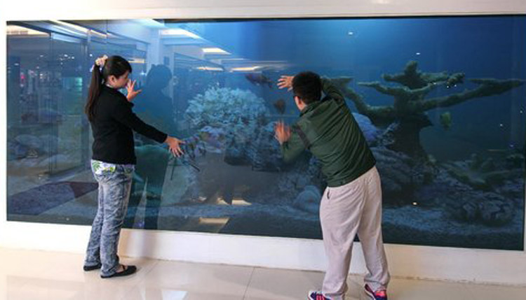 广东省广州奇影幻境200吋大型体感互动式电视墙.jpg